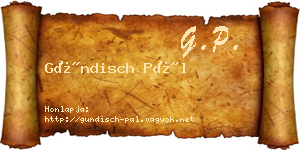 Gündisch Pál névjegykártya